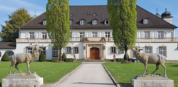 Bild zu "Kardiovaskulärer Präventivmediziner DGPR©": - Fortbildung online und im Schloss!