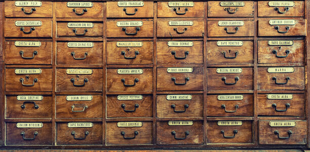 Bild zu Im Schatten von Hagedorn: - Thomas Rosenberg, ein vergessener Entdecker des NPH-Insulins