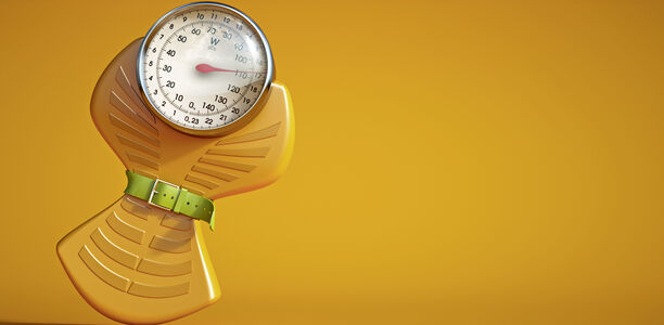 Bild zu Übergewicht beginnt im Gehirn 