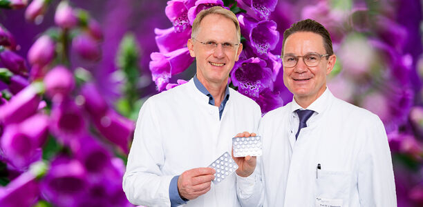 Bild zu Fingerhut-Wirkstoff - Erstmals wissenschaftlich belegt: Digitoxin verbessert Prognose bei Herzinsuffizienz