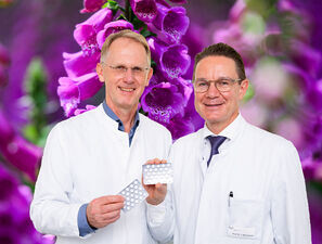 Bild zu Fingerhut-Wirkstoff - Digitoxin verbessert Prognose bei Herzinsuffizienz