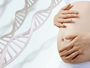 Bild zu Schwerpunkt "Diabetesforschung" - Einflussreich: mütterlicher Schutzfaktor