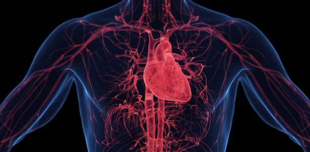 Bild zu EASD 2025 - REACH: Semaglutid zeigt stärkere kardiovaskuläre Risikoreduktion als Dulaglutid