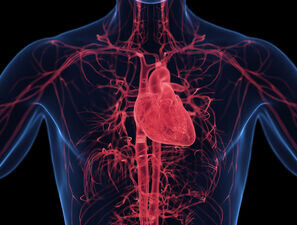 Bild zu EASD 2025 - Semaglutid: REACH-Daten untermauern kardiovaskulären Schutz