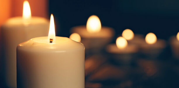 Bild zu Obituary - o. Univ. Prof. em. Dr. Werner Waldhäusl, 27 September 1937 – 22 May 2025