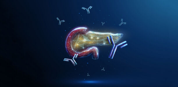 Bild zu Teizeild - CHMP empfiehlt EU-Zulassung bei Typ-1-Diabetes im Stadium 2