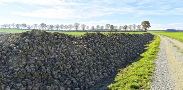 Bild zu Gesundheitspolitik - Norddeutsche Tiefebene