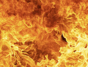 Bild zu Schwerpunkt "Ernährung" - Chronische Entzündungen – dem Brand begegnen