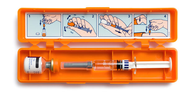 Bild zu BVND - Glukagon – Notfallhilfe nur noch für Selbstzahler?